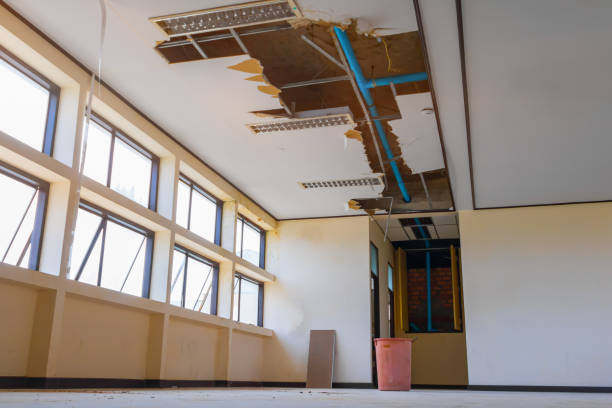 Best Professional water damage repair  in Vevay, IN