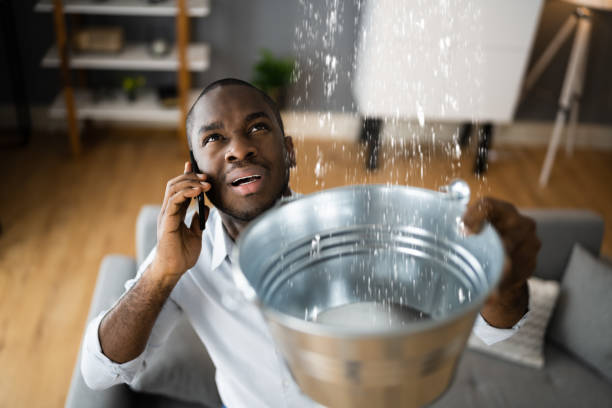 Best Sewage cleanup and water damage restoration  in Vevay, IN