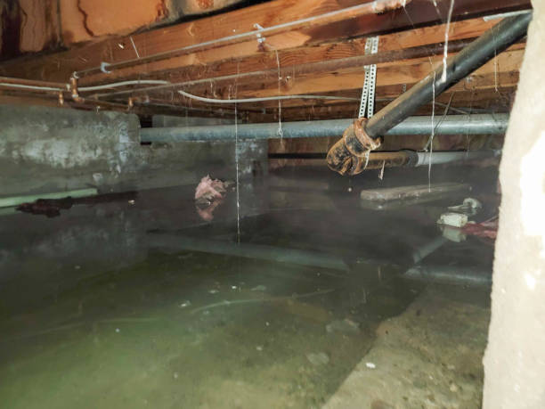 Best Water damage restoration insurance claims  in Vevay, IN