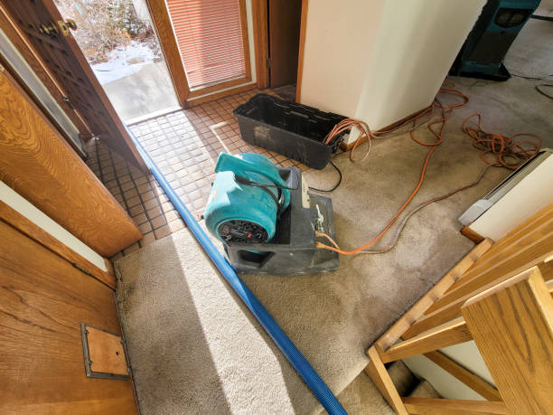 Best 24/7 water damage repair  in Vevay, IN
