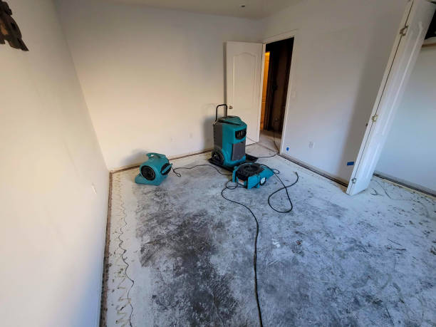 Best Water damage mitigation services  in Vevay, IN