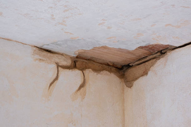 Best Flood damage cleanup  in Vevay, IN
