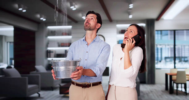 Best Water damage restoration specialists  in Vevay, IN