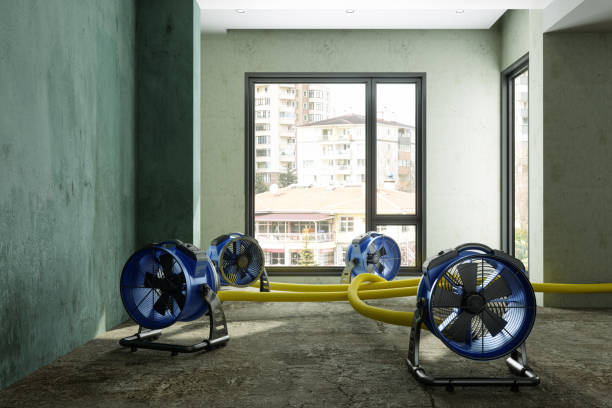 Best Water damage contractors near me  in Vevay, IN