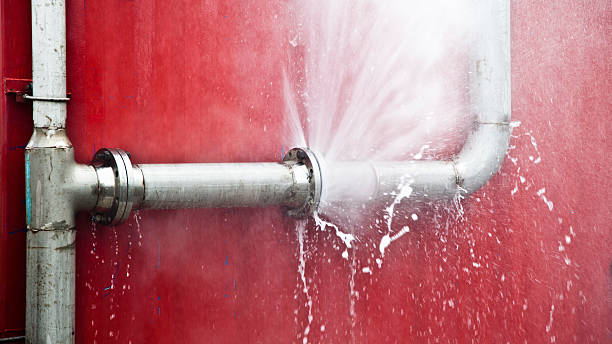 Best Flooded house restoration  in Vevay, IN